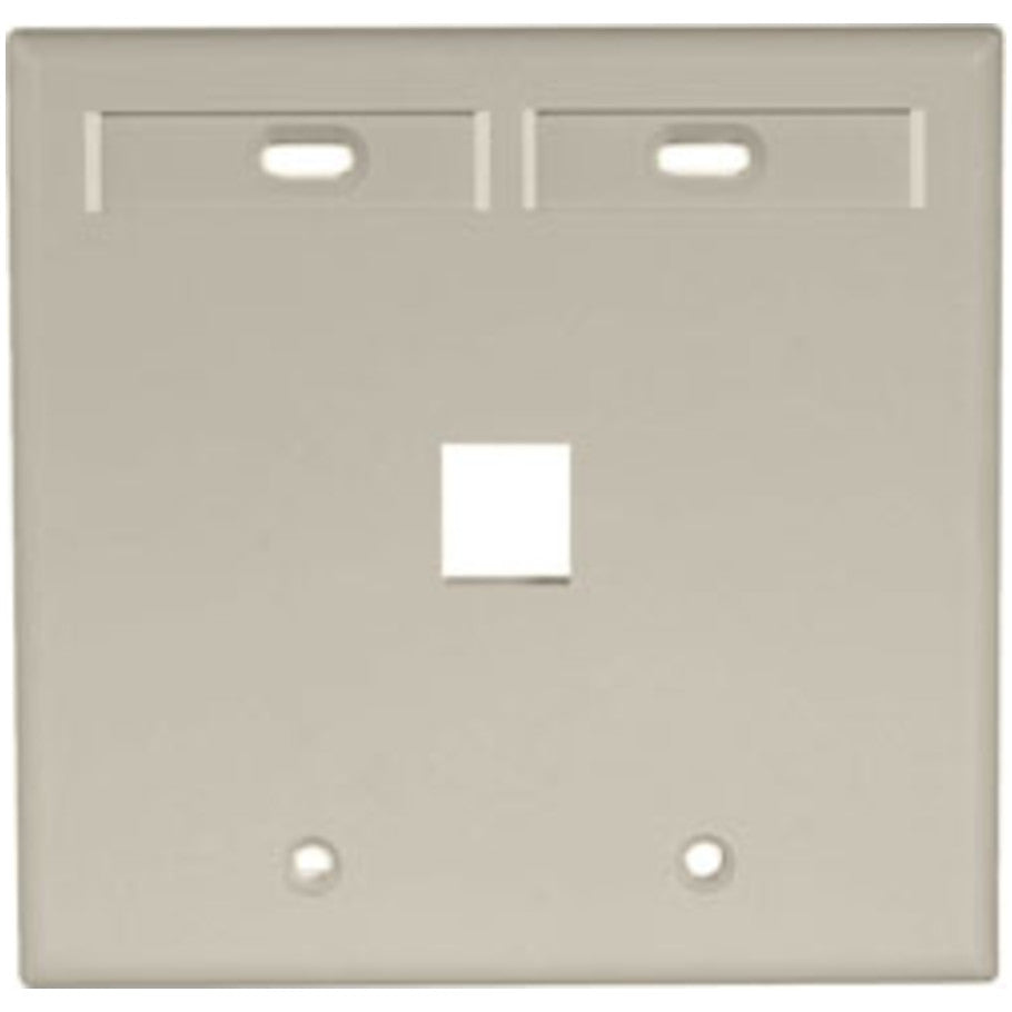 Dual-Gang QUICKPORT Wallplate with ID Windows, 1-Port, Ivory
