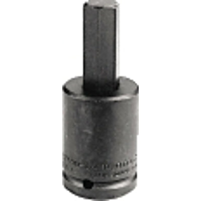 Socket Bit, 3/8 in Drive, 3/16 in Tip