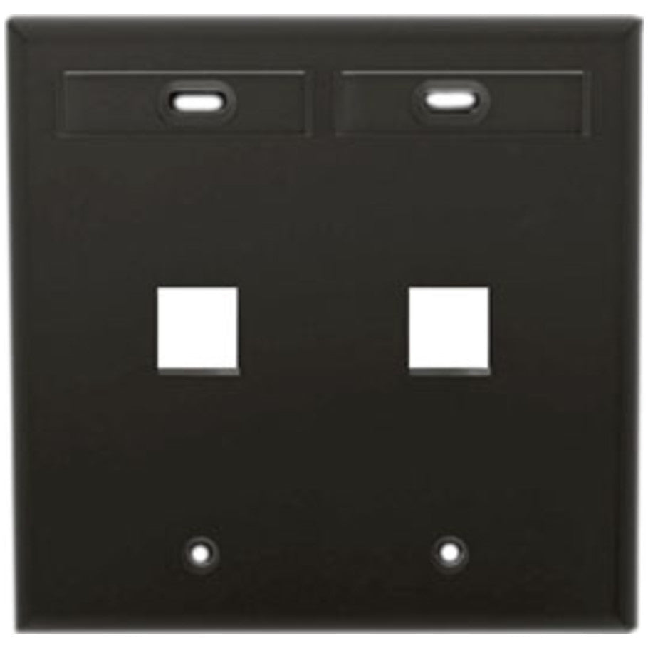 Dual-Gang QUICKPORT Wallplate with ID Windows, 2-Port, Black