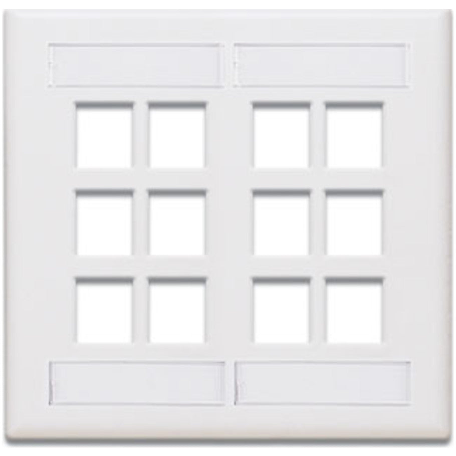 Dual-Gang QUICKPORT Wallplate with ID Windows, 12-Port, White