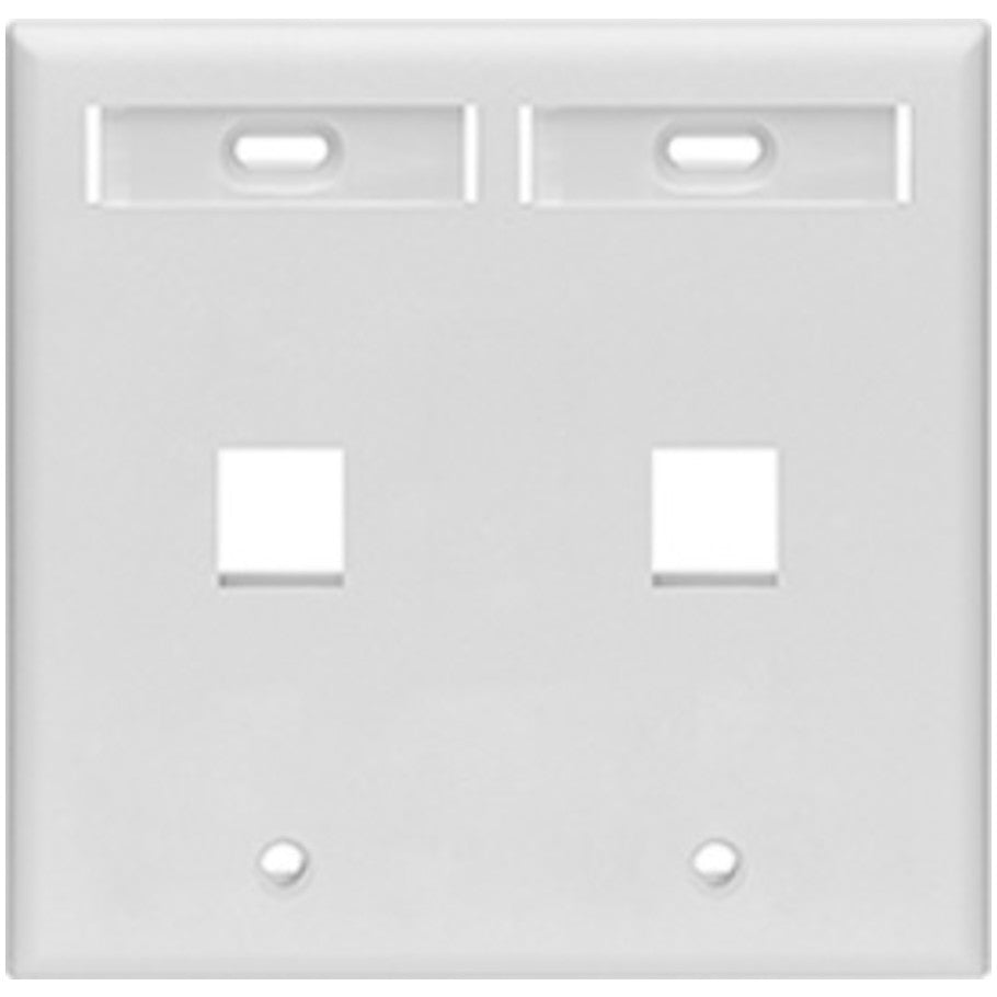 Dual-Gang QUICKPORT Wallplate with ID Windows, 2-Port, White