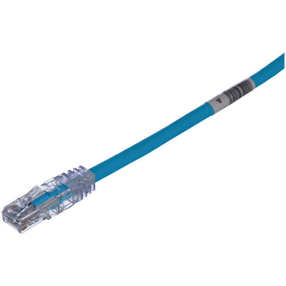 TX6 PLUS UTP Patch Cords, 30 ft., Blue