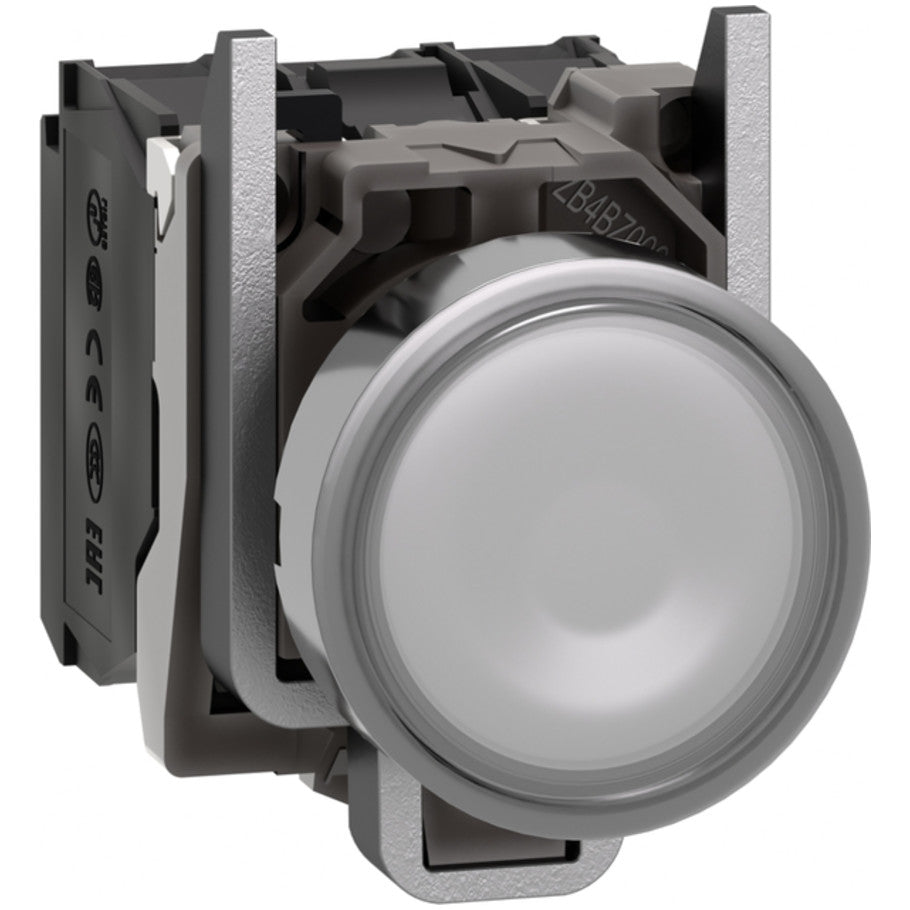 Illuminated push button, Harmony XB4, metal, white flush, 22mm, universal LED, plain lens, 1NO   1NC, 24V AC DC