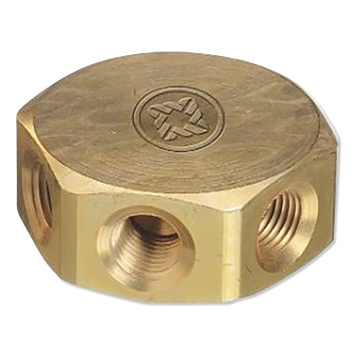 Manifold Block, 3,000 psi, Brass, 2 in