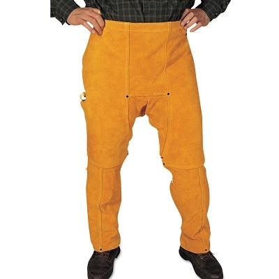 Chap, 40 in L, Leather, Golden Brown