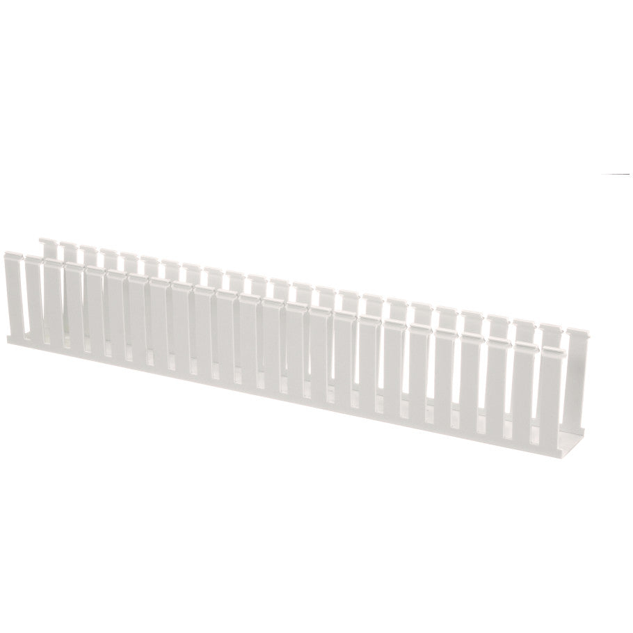 Type G Wide Duct, PVC,2 in. X 4 in. X 6 FT.