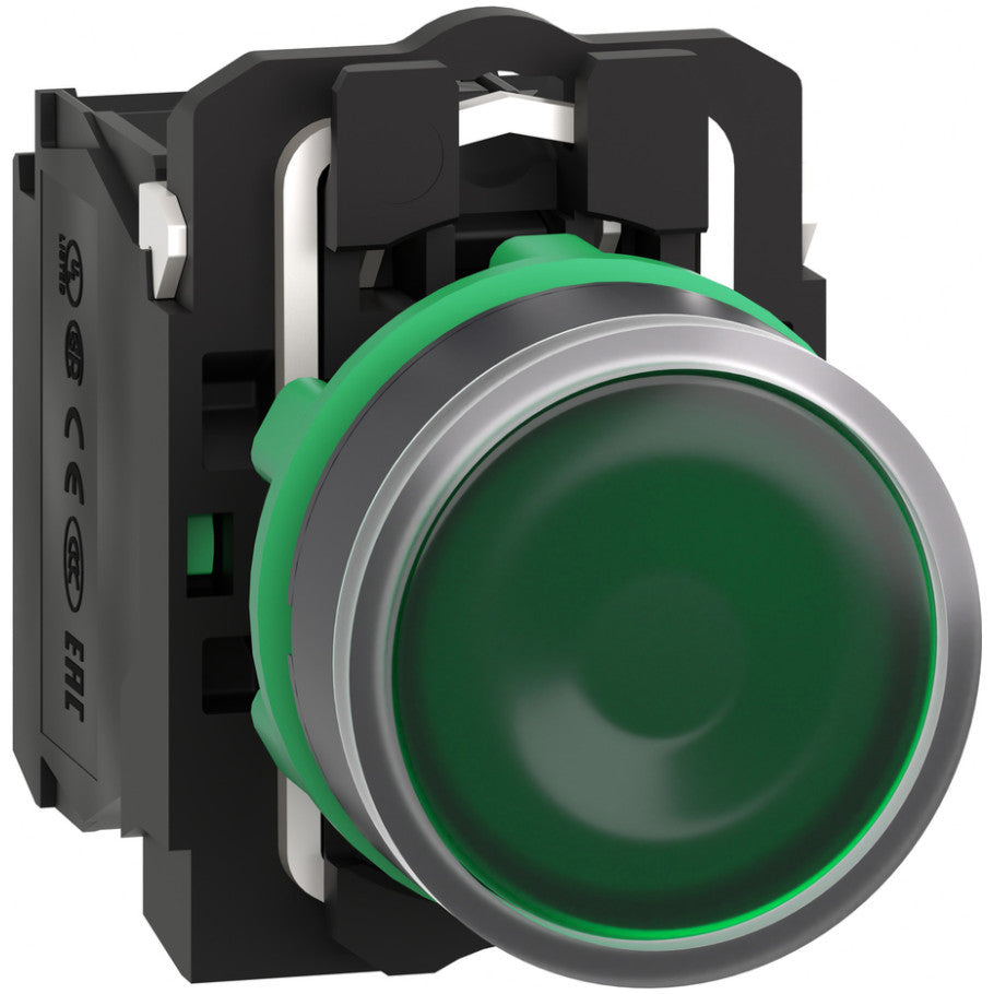Illuminated push button, Harmony XB5, plastic, green flush, 22mm, universal LED, plain lens, 2NO, 24V AC DC