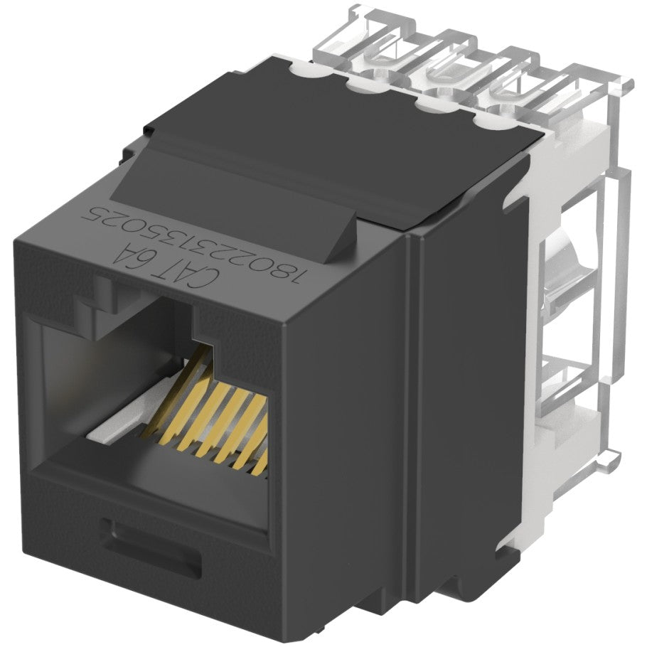 NetKey Cat 6A Jack Module, Black