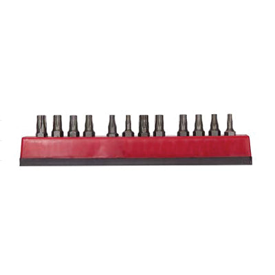 12-Pc Insert Bit Set, Torx and Tamper Torx