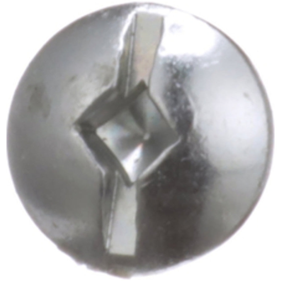 Panelboard Screw