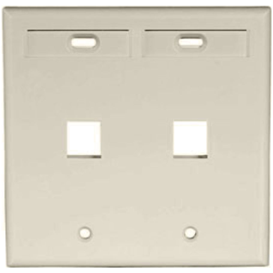 Dual-Gang QUICKPORT Wallplate with ID Windows, 2-Port, Ivory