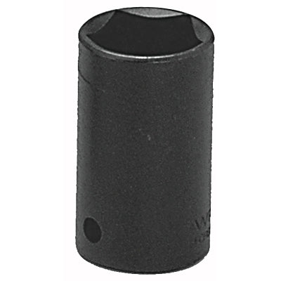 5 Point Black Penta Socket, 1/2 in Drive, Black Oxide