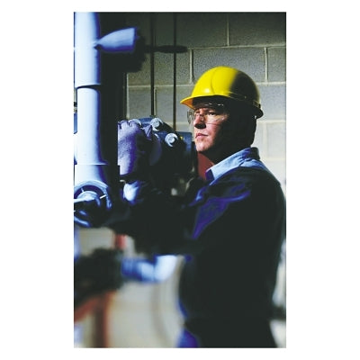 98 Series Safety Glasses, Clear Polycarb Lens/Frame, Clear Frame