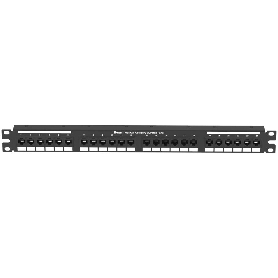 Cat 6A Punchdown Patch Panel, 24-Port