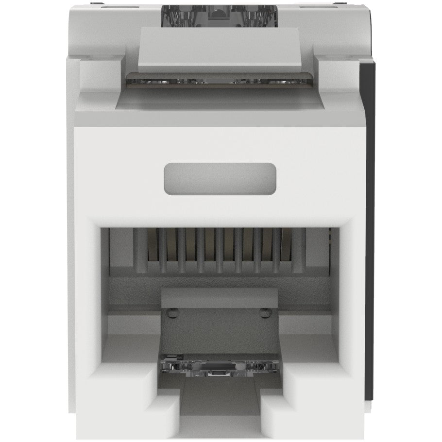 NetKey Cat 6A Jack Module, White
