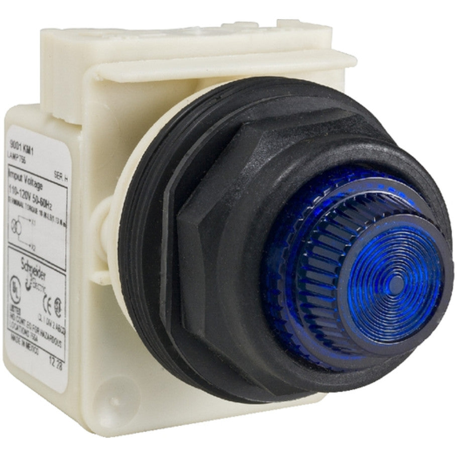 Pilot Light Switch, 10 A, 120 V AC/DC, 24 to 28 V AC/DC, Blue